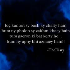 Pin On Shayri