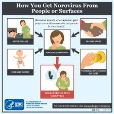 Here, how to protect yourself from norovirus and what to do if the bug strikes. Norovirus Illness Is Messy Clean Up Right Away Blogs Cdc