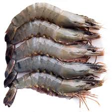 Be sure to adjust the cooking time depending on the size of the shrimp. Buy Live Prawns Off 64 Medpharmres Com