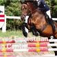 Nov 29th - Michael van Houben at Pendarves, Cornwall event image