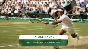 Wimbledon: Jasmine Paolini making history in SW19