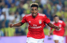 Gedson fernandes, 22, portekiz sl benfica, 2018'den beri merkez orta saha piyasa değeri: Gedson Twitter Search Twitter
