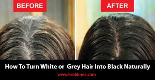 Natural black hair tops most of the women's wishlist. Krobknea How To Turn White Or Grey Hair Into Black Naturally