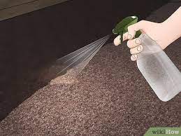 How To Clean Up Vomit: 12 Steps (With Pictures) - Wikihow