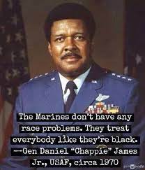 The Marines Don T Have Any Race Problems Gen Daniel Chappie James Jr Usaf Circa 1970 474 X 553 R Quotesporn