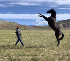 Cowboys wr noah brown activated from covid list, eligible for week 1 noah brown is back on the active roster for the season opener in tampa, but the wr and special teams player hasn't practiced. Cowboys Indians Magazine