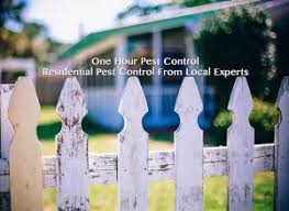 Saving your home from unwanted critters shouldn't break the bank. Contact Us One Hour Pest Control In Nj