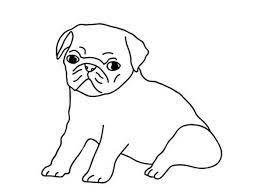 Hand drawing animal pug dog wearing face medical mask. How To Draw Pug Puppies Sketch Coloring Page Puppy Sketch Pug Tattoo Drawings