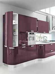 Sink base cabinet has 2 wood drawer boxes that offer a wide variety of storage possibilities. Modern Purple Kitchen With Curved Cabinets Modern Kitchen Miami By Arredo Casa Group