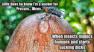 Rule34 porn - 6781081