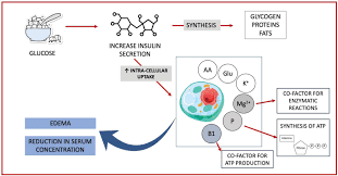 Image result for Refeeding Syndrome