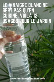 Le Vinaigre Blanc Ne Sert Pas Qu En Cuisine Voila 12 Usages Pour Le Jardin Decoration Jardin Recup Desherbant Naturel Astuce Jardinage