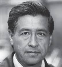 APS — Stefany Martinez and the Heart of Human Services