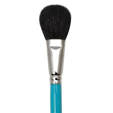 How often should we brush our hair? Pure Camel Hair Mop Brush 1 Hot Clay