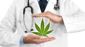 Am I A Candidate For Medical Cannabis South Naperville Family Practice Ltd Family Medicine Physicians