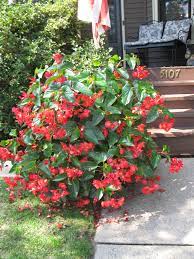 pin pa gardening nordic wall planter