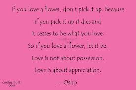 If someone throws a rock at. Osho Quote If You Love A Flower Don T Pick It Up Because If You Coolnsmart