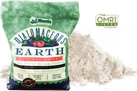 8 Ways To Use Diatomaceous Earth Indoors Diatomaceous Earth Diatamaceous Earth Earth