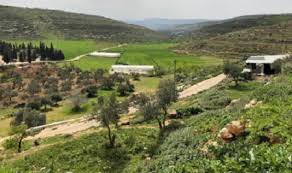 Hic Mena Habitat International Coalition