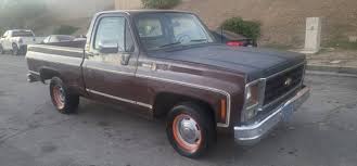 Image result for Brown 1979 Chevy Truck