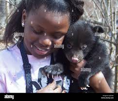 Haley fish hi-res stock photography and images