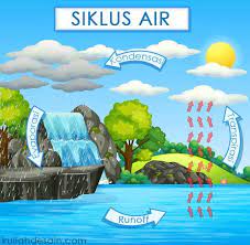 Contoh gambar poster dampak siklus air bagi kehidupan. 17 Gambar Poster Siklus Air