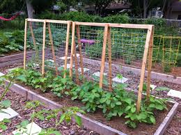 Heavy climbers like squashes and cucumbers would do best on wrought iron, while peas, beans. Diy Trellises If You Build It They Will Grow Whole Foods Market