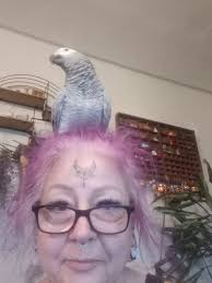 This is zola she is 4 yrs old and gifted to me a week ago ,we already have  a green amazon that we rescued nearly a year ago ,and zola has come