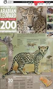 From Creating The Silent One To Visualizing Endangered Species Most Endangered Animals Animals Endangered Species