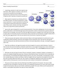 (circle the correct answer) 22. 8 Mitosis And Meiosis Reading Worksheet Reading Worksheets Reading Comprehension Comprehension Worksheets