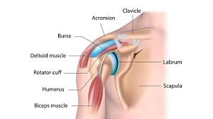 Image result for Hawkins Test