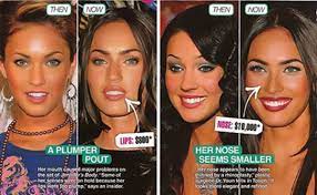 Around 2010 her face took on a peculiar and much older appearance. F Is For Fox And For Feline Face Fail Beautygeeks