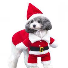 Noel Evcil Kopek Kiyafeti Kedi Noel Baba Kostum Kis Sicak Elbise Kapusonlu Ceket Evcil Hayvan Malzemeleri Pamuklu Giysiler Kedi Kopekler Icin Sicak Kopek Setleri Aliexpress