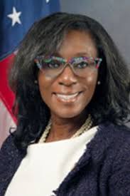 Image result for Felicia boehmii