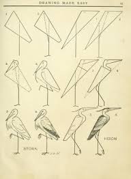 Drawing Made Easy A Helpful Book For Young Artists The Way To Begin And Finish Your Sketches Clearly Sho In 2020 Art Drawings Simple Bird Drawings Drawing Tutorial