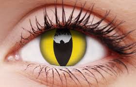Browse our special range of halloween lenses that customize your eye color with that bold and classic look. Cat S Eye Coloured Contact Lenses Colourvue Australia