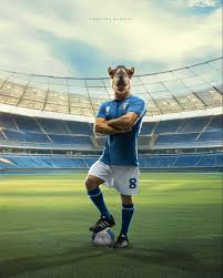 Abdullah Hamada (@abdullah_hamadah) • Instagram photos and videos