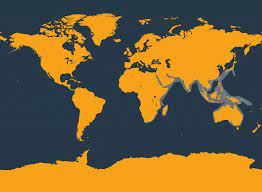 Indo Pacific Bottlenose Dolphin Whale Dolphin Conservation Usa