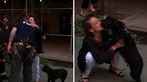 After obtaining a new york state 501(c)3 status in 2014, the organization's mission has. Woman Grateful After Fdny Rescues Her Dog From Manhattan Apartment Building Fire Abc7 New York