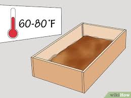 Maybe you would like to learn more about one of these? 3 Ways To Make A Worm Bed Wikihow