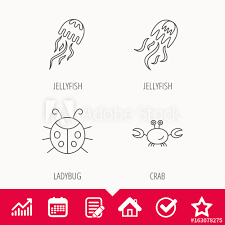 Jellyfish Crab And Ladybug Icons Ladybird Linear Sign
