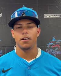 Family, fun and baseball. It doesn't get any better than that! Here's some  Minor League ballparks -- one per farm system -- to visit in 2024.