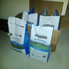 Rumput gajah mini atau pennisetum purperium schamach merupakan jenis rumput yang biasa digunakan untuk taman skala rumahan dan industri. Biji Rumput Gajah Mini Biji Rumput Golf Taman Mini Golf Indograss