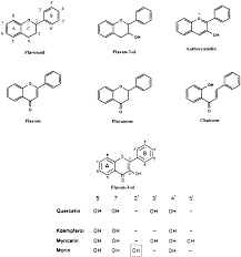 Scintillation decay of ce:gagg excited by 137cs. The Effects Of Plant Flavonoids On Mammalian Cells Implications For Inflammation Heart Disease And Cancer Pharmacological Reviews