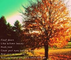 Autumn Leaves Ed Sheeran Lyrics Autumn Leaves Lyrics Autumn Leaves Lyrics Autumn Leaves Song Ed Sheeran Lyrics