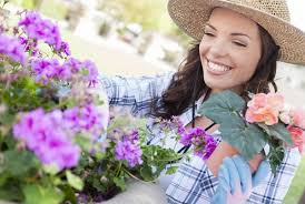 Our garden experts are here to help! Garden Nursery Tips And Ideas How To Start Your Own Plant Nursery