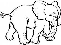 Sketsa cara gambar gajah gambar sketsa gajah nampak depan ternyata bisa di buat dengan cara yang cukup simple buat 3 lingkaran untuk kepala di bagian tengah dan telinga di bagian kiri kanannya. Pin On Sketsa