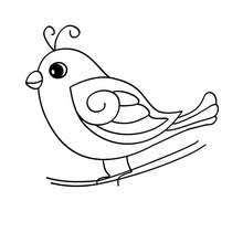 Süßer Vogel Zum Ausmalen Zum Ausmalen Dehellokidscom