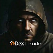 Is my Bitget account verified?