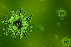 Vaccines normally require years of testing and additional time to produce at scale, but scientists are hoping to develop a coronavirus vaccine within 12 to 18 months. Door Nederland Besteld Coronavaccin Lijkt Echt Te Werken